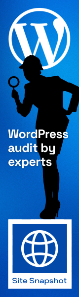 Banner 160x600 - Site Snapshot [Offer]
