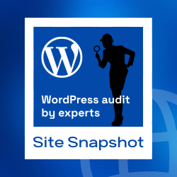 Banner 250x250 - Site Snapshot [Offer]