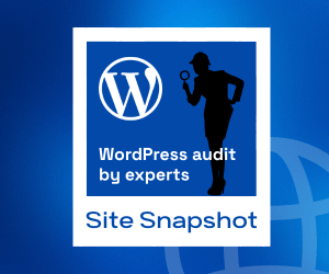 Banner 300x250 - Site Snapshot [Offer]