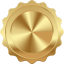 Gold Badge Certified Site by Site Auditor